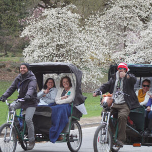 pedicab tours