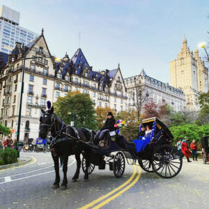 carriage rides